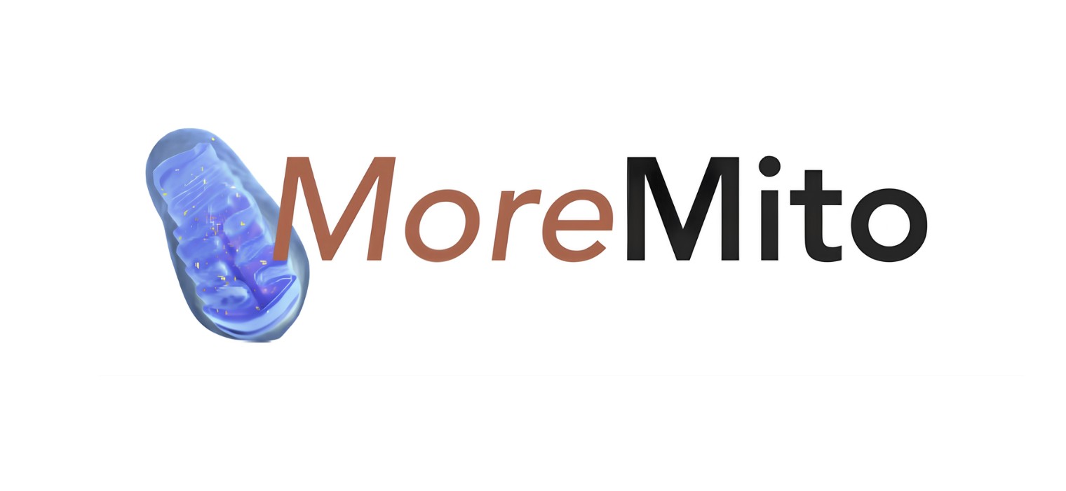 MoreMito