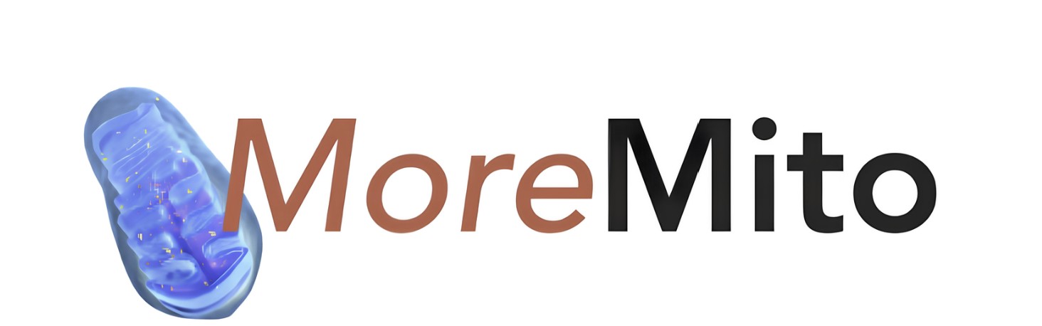 MoreMito